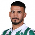 L. Villafañez