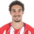 Š. Vrsaljko