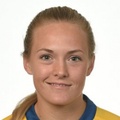 M. Ericsson
