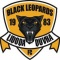 Black Leopards