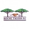 Boyne Tigers