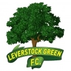 Leverstock Green