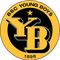 Logo Equipo Young Boys