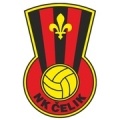 Čelik