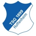Escudo del Hoffenheim Fem