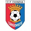 Escudo del Chindia Târgovişte