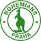 Bohemians 1905 II