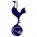 Tottenham Hotspur Sub 23