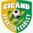 Cigánd SE
