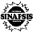Sinapsis de Luque