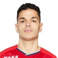 H. Ben Arfa