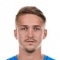 M. Janzer