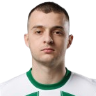 N. Mihajlovic