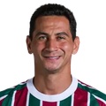 Imagen de Ganso