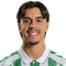 Pleguezuelo