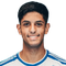 V. Pereira