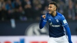 El Schalke 04 se deja sorprender por el colista