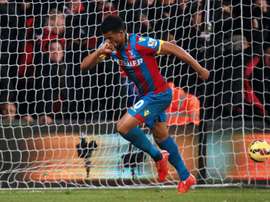 Frazier Campbell could return to Hull City. AFP