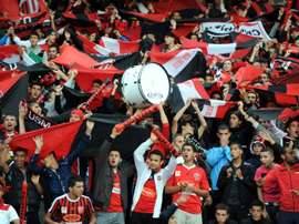 Supporters of Algerias USM Alger club celebrate on May 14, 2013