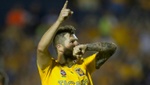 Los tigres también tienen siete vidas