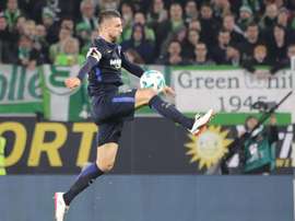 Ibisevic deja la Selección. EFE/Archivo