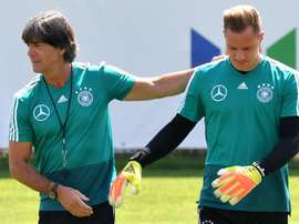Les compos probables. EFE