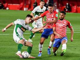 Granada bate o Elche e volta a vencer no Espanhol. EFE