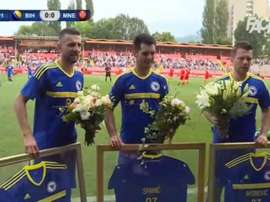 Ibisevic, Spahic y Misimovic se han retirado del fútbol internacional. FaceTV