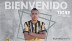 Domingo Ortíz, nuevo refuerzo de Tigres FC