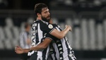 Botafogo respira y deja a Avaí al borde del infierno