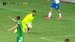 Un partido de la Liga Rusa se paró ¡por una serpiente!
