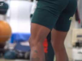 Palmeiras encerra preparação para grande final da Copa do Brasil. DUGOUT