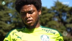 VÍDEO: Palmeiras ya trabaja pensando en Defensa y Justicia