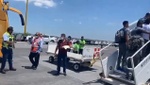 VÍDEO: Seattle ya es tierra de 'felinos'