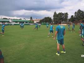 Chapecoense, atual campeã do Campeonato Catarinense. DUGOUT