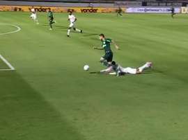 VIDÉO : Les buts de Palmeiras en Coupe du Brésil. Dugout