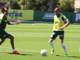 Palmeiras segue em preparação para grande final da Copa do Brasil. DUGOUT