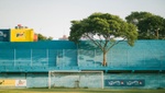 Lo nunca visto: Hacen socio de un equipo de Paraguay ¡a un árbol!