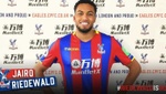 Riedewald, nuevo jugador del Crystal Palace