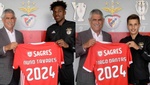 El Benfica renueva a sus perlas Tavares y Dantas